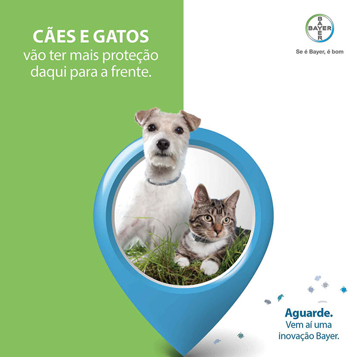 email de lançamento de produto para pet da Bayer.